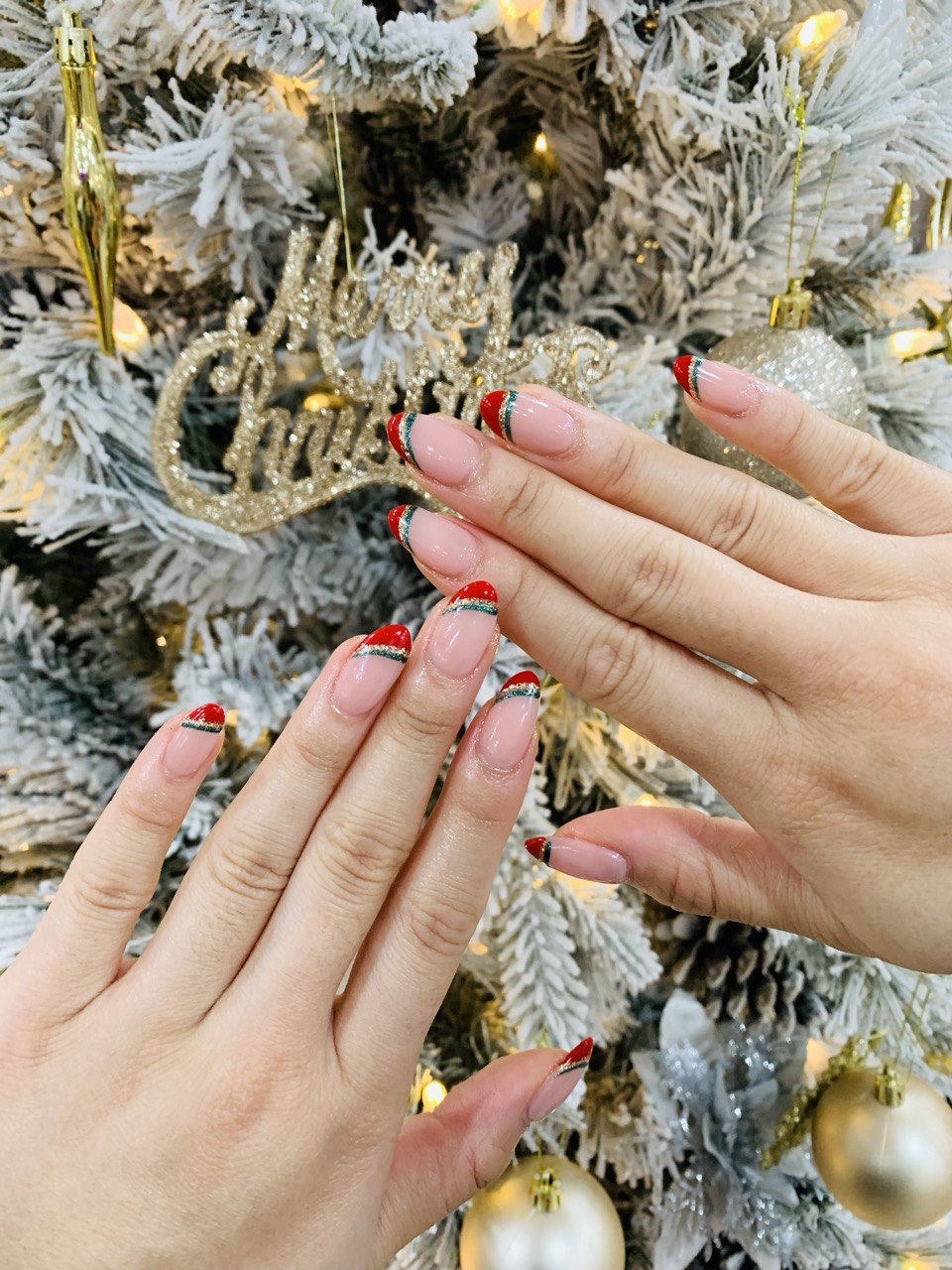 photo_10_2025-12-15_03-37-41